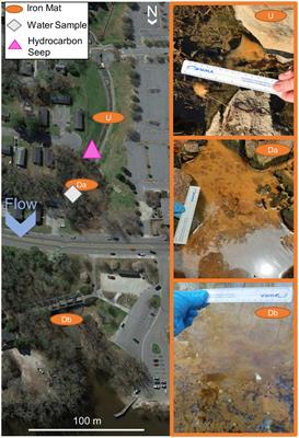 Microbial community response to hydrocarbon exposure in iron oxide mats: an environmental study